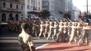 Military Parade, Cape Town, South Africa (Opening of Parliament) 2#