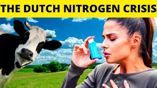 The Dutch Nitrogen Crisis & Regenerative Agriculture