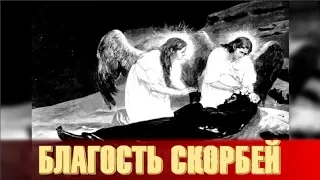 Благость терпения скорбей. Священник Игорь Сильченков