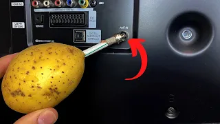 Insert the POTATO into the TV and watch all the channels in the world! Satellite TV!