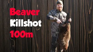 Beaver hunting - the shot