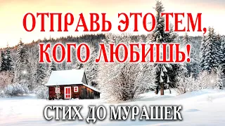 🔴ОЧЕНЬ ТРОГАТЕЛЬНЫЙ СТИХ "Сейчас..." ДОБРОЕ УТРО! С Добрым Зимним Утром! Музыкальная открытка