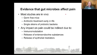 Basic Concepts in Neurogastroenterology on Visceral Pain: What’s the latest?