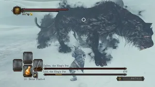 Dark Souls 2 - Lud and Zallen NG+ (No Damage) Yorgh's Spear