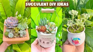 24 Succulent DIY Ideas| 24 Ý tưởng trang trí sen đá tuyệt đẹp| 多肉植物| 다육이들 | Suculentas