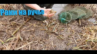 Раки на ручье