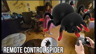 Remote Control Spider