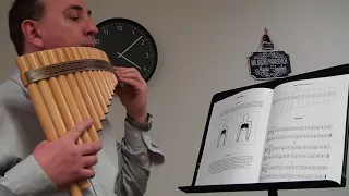 Teach yourself Pan Flute. Easy lessons. Study  1 to 8