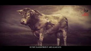 The Story Of The Cow