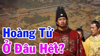 26 Người Con Trai Của CHU NGUYÊN CHƯƠNG Ở Đâu Khi CHU ĐỆ Tạo Phản Lật Đổ Ngai Vàng