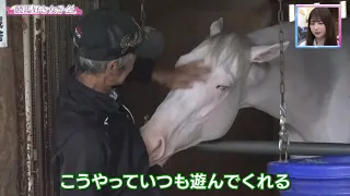 【ソダシ 電撃引退】夢と感動をありがとう “奇跡の白毛馬” アイドルホースの知られざるエピソードとは？｜競馬好き女子会