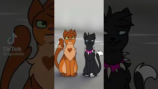 Warrior Cats Tiktok Compilation