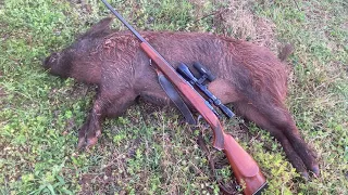 Pig Hunt 3 27