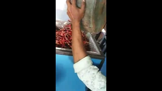 Dry red Chilli stem cutting machine for sale at 3.50 lakh in India