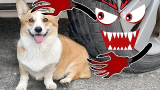 Car Vs Dog Experiment | Crushing Crunchy & Soft Things By Car | Woa Doodles | Funny Video | Tik Tok