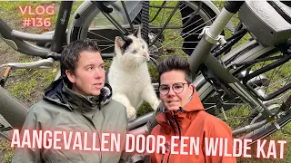 Camperplaats Stee in Lhee in Drenthe | Aangevallen door een wilde kat | We nemen Revange! #136