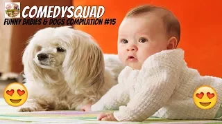 Funny Dogs and Babies Playing Together-Funny Babies & Dogs Compilation #15