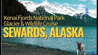 Kenai Fjords National Park | Glacier & Wildlife Cruise | Pudik TV | Seward Alaska USA | SD HD 4k