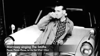 Morrissey - Please, Please, Please, Let Me Get What I Want (The Smiths) 2002 LIVE