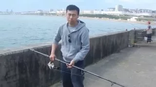 Mackerel Fishing Brighton Marina August 2015