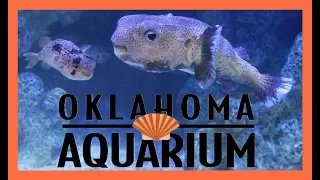 EmmyKat's Family Trip To The Oklahoma Aquarium!