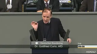 Dr  Gottfried Curio ( AfD ) Merkel =  Kanzlerin der Ausländer