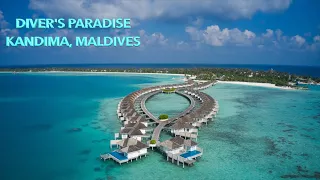 Marvellous Maldives | Kandima | Best Scuba Dive | Dhaalu Atoll | Dive 2 - 4K HD