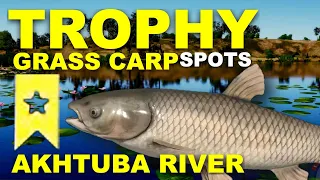 Russian Fishing 4 TROPHY Grass Carp SPOTS Akhtuba River