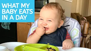 WHAT MY BABY EATS IN A DAY | BABY MEAL IDEAS FOR 11-MONTH-OLDS | BABY LED WEANING