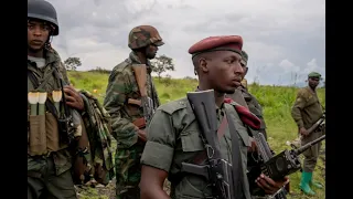 Offensive des autodéfenses contre le M23: Nzangi clarifie!