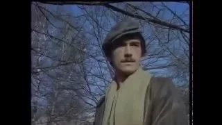 Битва за южную железную дорогу (1978)
