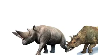 (REMASTERED) Cenozoic Beasts Size Comparison