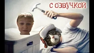 Приколы с котами с ОЗВУЧКОЙ - Реакция на Domi Show! №1