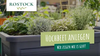 Hochbeet anlegen und bepflanzen - wir zeigen wie es geht | Tipps & Tricks