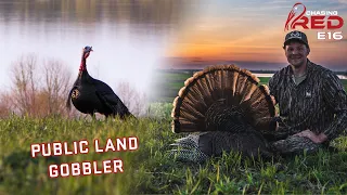 Drake's 1st Iowa Gobbler, Using Terrain To Get In Range #hunting #turkeyhunting