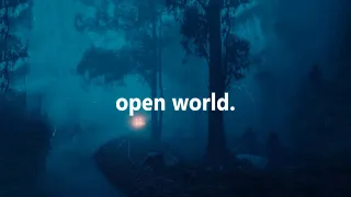 reidenshi - open world