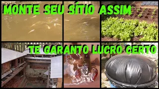 Monte Sítio Pequeno Neste Sistema-Retorno Rápido Garantido #sustentabilidade @TILAPIAMinhaVida