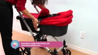 MacroBaby - Bugaboo Cameleon Stroller