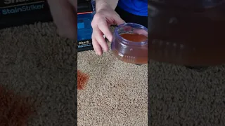 How to use the pet stain tool for your Shark Stain Striker