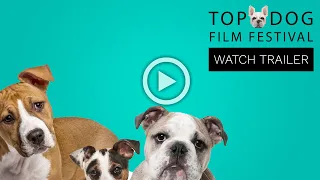 Top Dog Film Festival 2020 Trailer