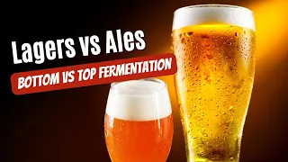 Beer 101: Lagers vs Ales