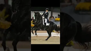 Totilas The Dressage Legend