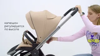 Детская коляска Rant Flex Pro 2023