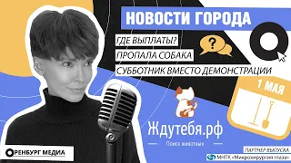 Где выплаты? Субботник вместо демонстрации. Пропала собака. Новости города О