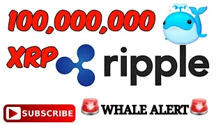 HUGE NEWS: Ripple Sends 100 Million XRP To Jed McCaleb & FINTECH Meeting WHALE ALERT