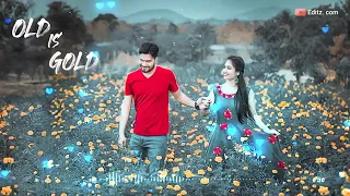 🌷❤️pa liya he pyar tera ab nahi khona 🌹🌷Romantic song ❤️🌹love status 🌹❤️whatsapp vidio 🌷❤️