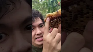 Tantangan makan madu dari rumah lebahnya langsung 😱😱🤤 #shorts