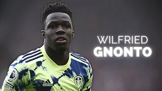 Wilfried Gnonto - Season Highlights | 2023