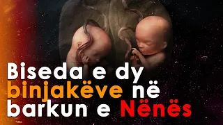 Biseda e dy binjakeve ne barkun e nenes!