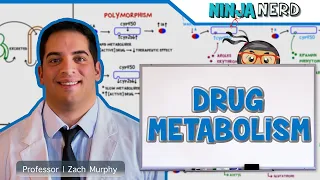 Pharmacokinetics | Drug Metabolism